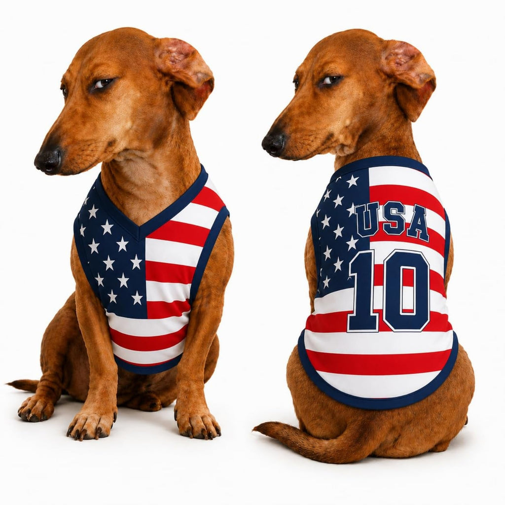 T Shirt Chien Personnalisé Style 2026, Maillot Drapeau Pays avec Nom Numéro, Tissu Mesh Léger Respirant pour Petit Moyen Grand Chien, Cadeau Fan Foot