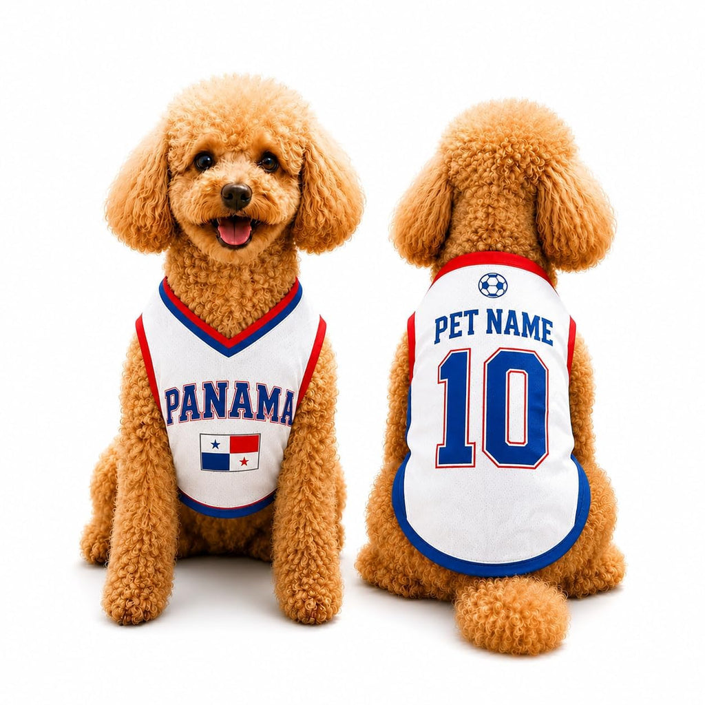 T Shirt Chien Personnalisé Style 2026, Maillot Drapeau Pays avec Nom Numéro, Tissu Mesh Léger Respirant pour Petit Moyen Grand Chien, Cadeau Fan Foot