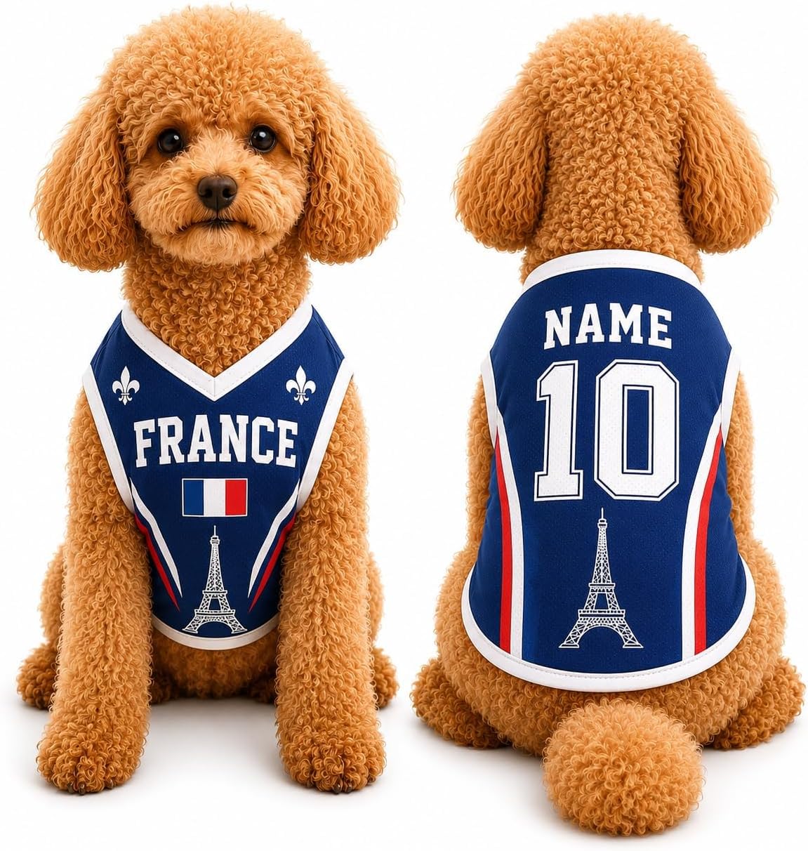 T Shirt Chien Personnalisé Style 2026, Maillot Drapeau Pays avec Nom Numéro, Tissu Mesh Léger Respirant pour Petit Moyen Grand Chien, Cadeau Fan Foot