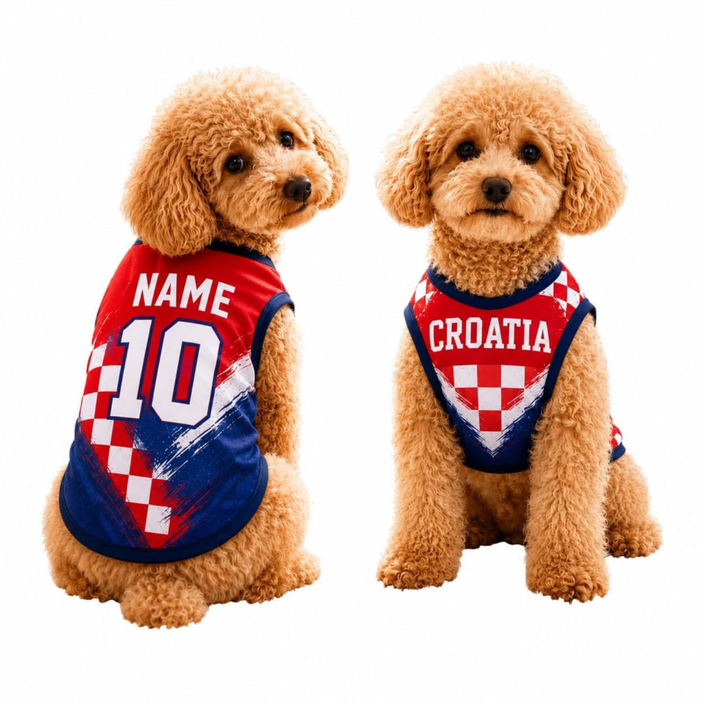 T Shirt Chien Personnalisé Style 2026, Maillot Drapeau Pays avec Nom Numéro, Tissu Mesh Léger Respirant pour Petit Moyen Grand Chien, Cadeau Fan Foot