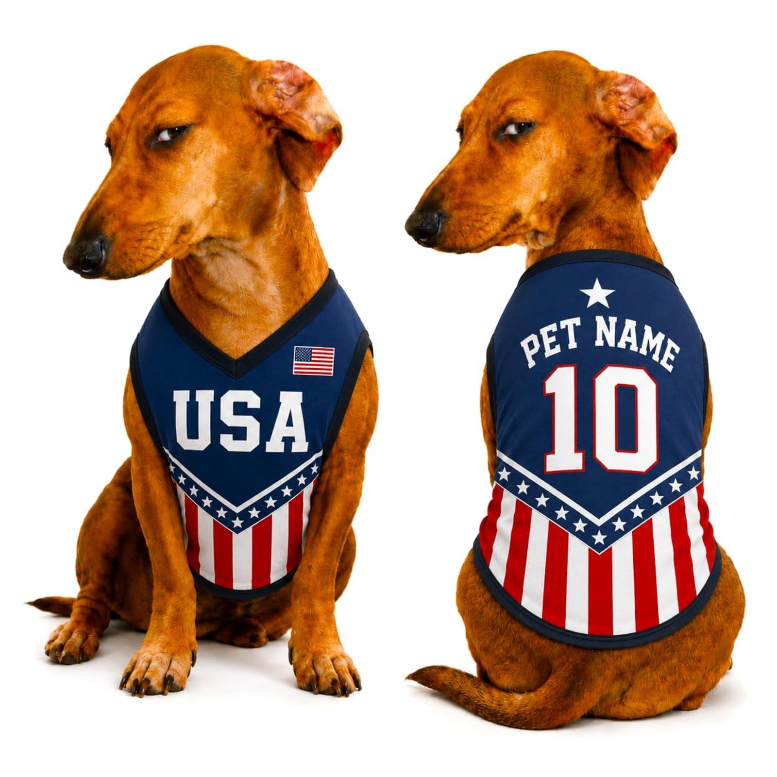 T Shirt Chien Personnalisé Style 2026, Maillot Drapeau Pays avec Nom Numéro, Tissu Mesh Léger Respirant pour Petit Moyen Grand Chien, Cadeau Fan Foot