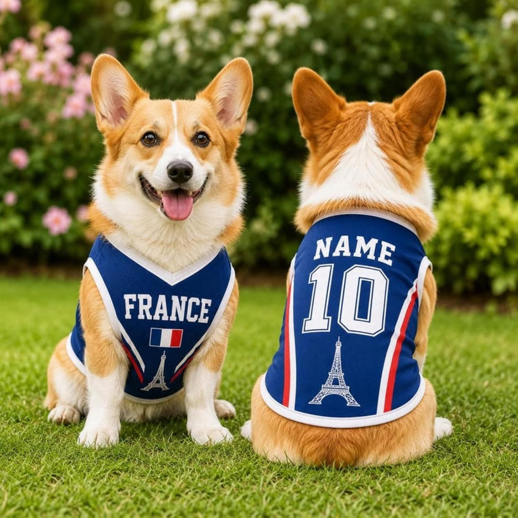 T Shirt Chien Personnalisé Style 2026, Maillot Drapeau Pays avec Nom Numéro, Tissu Mesh Léger Respirant pour Petit Moyen Grand Chien, Cadeau Fan Foot
