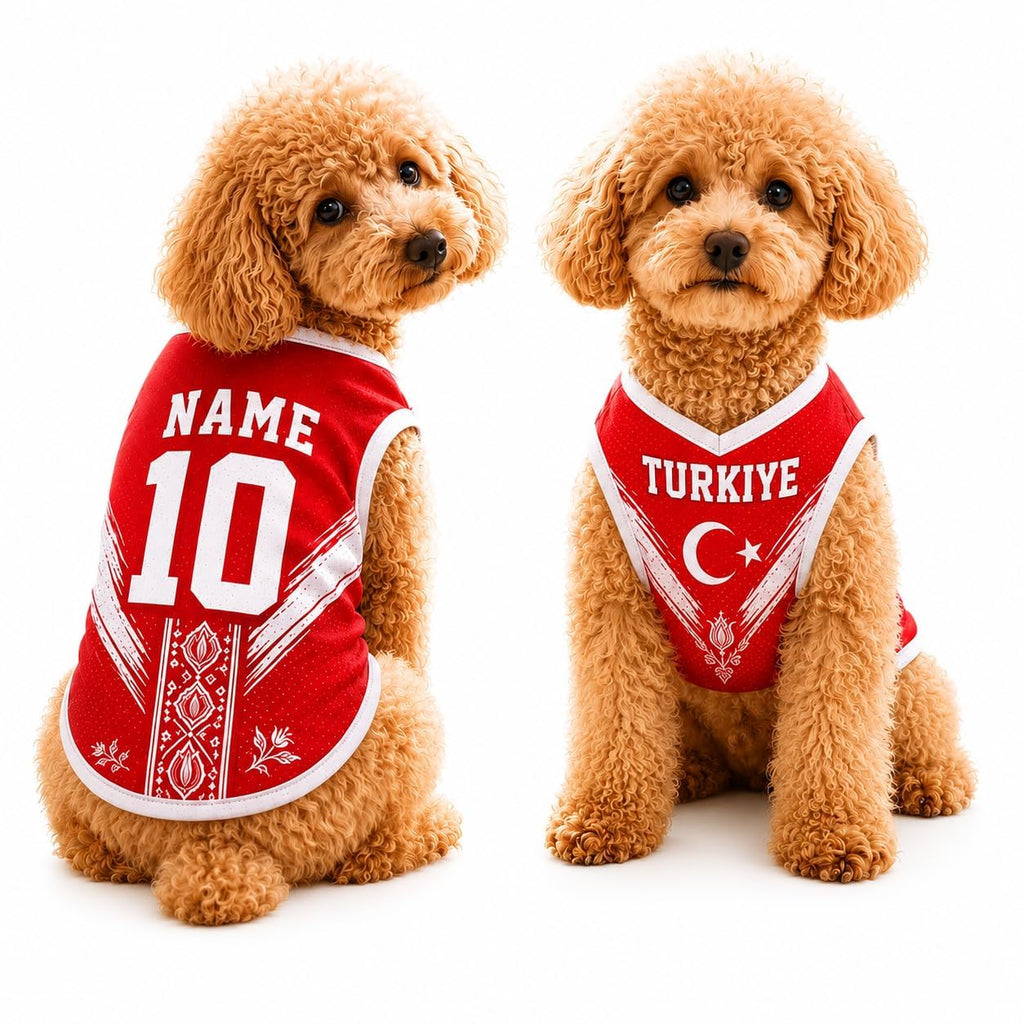 T Shirt Chien Personnalisé Style 2026, Maillot Drapeau Pays avec Nom Numéro, Tissu Mesh Léger Respirant pour Petit Moyen Grand Chien, Cadeau Fan Foot